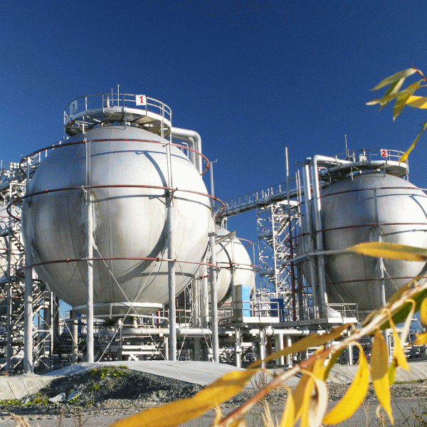 "Suntem captivi complet la Gazprom, cu importurile de gaze" "Suntem captivi complet la Gazprom, cu importurile de gaze"
